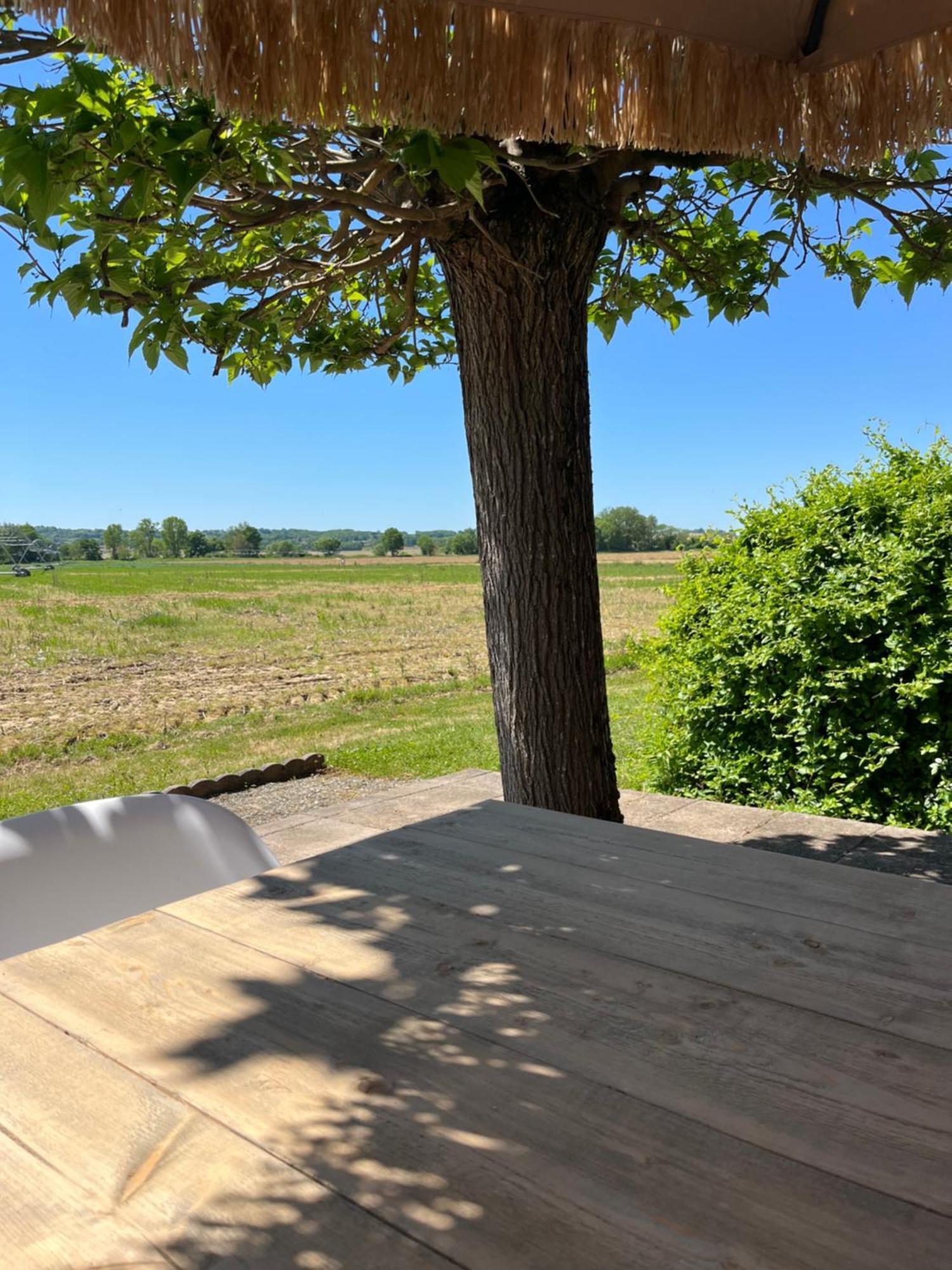 Gite 1, Domaine Logis Gascogne Saint-Justin (Midi-Pyrenees) Exterior foto